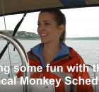 Nautical Monkey Scheduler